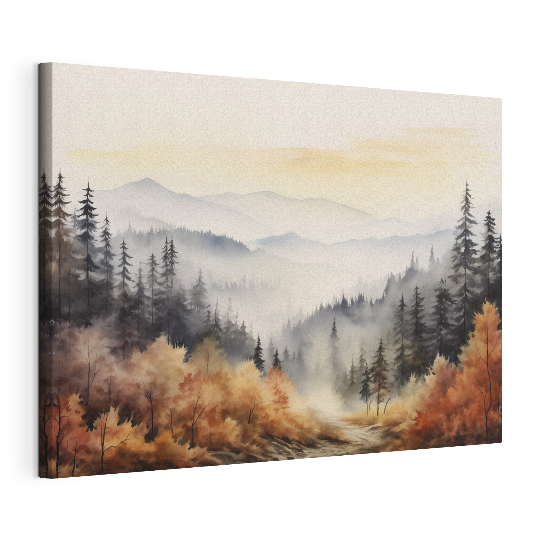 Landscape of a forest with fog