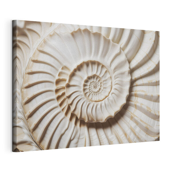 Canvas Schilderijen Elegant spiraalvormig schelpenpatroon prachtig weergegeven