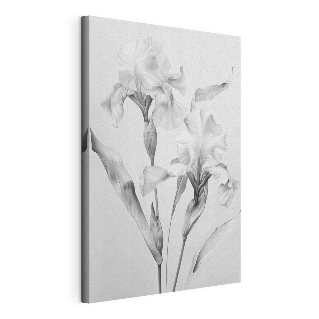 Delicate petals in soft monochrome hues
