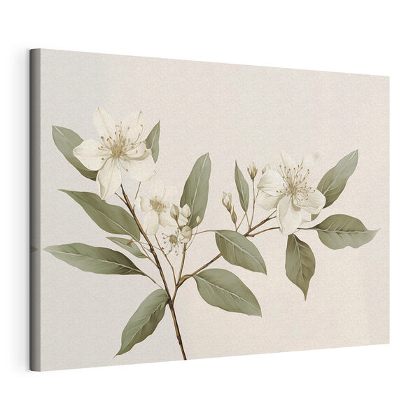 Canvas Schilderijen Canvas Schilderijen Witte bloemen en bladeren aan een tak (Artikelnummer: s42583)