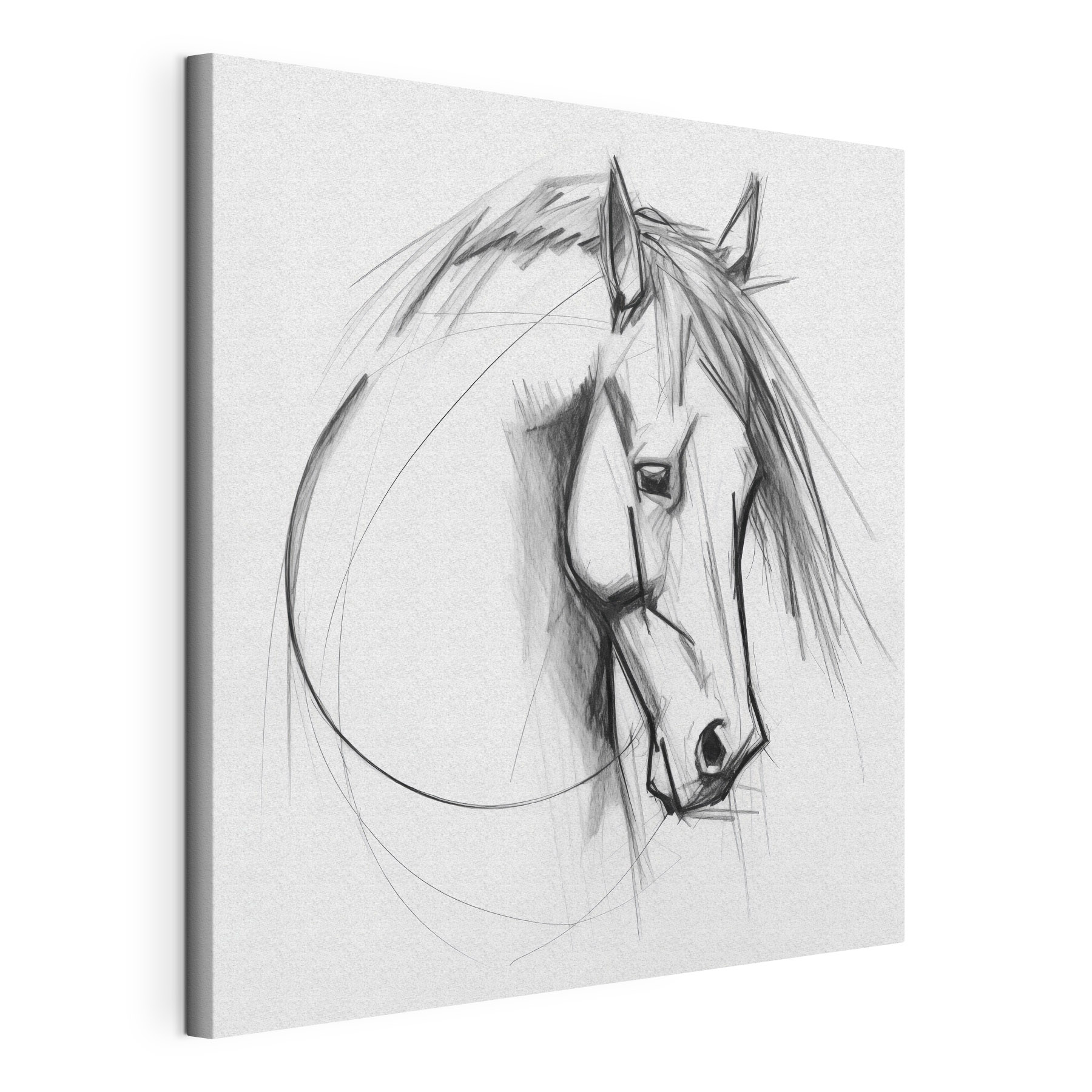 Drawing of a horse