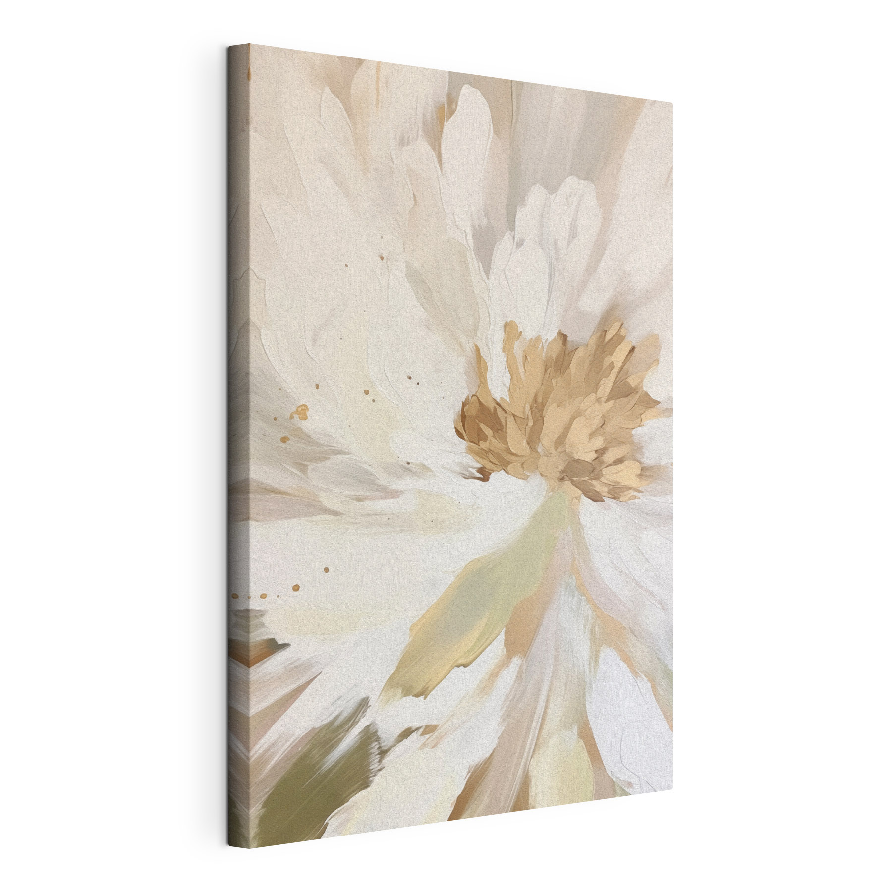 Delicate hues of soft white petals Delicate hues of soft white petals