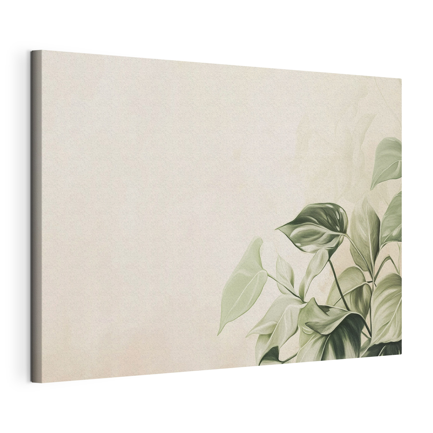 Serene greens in soft light