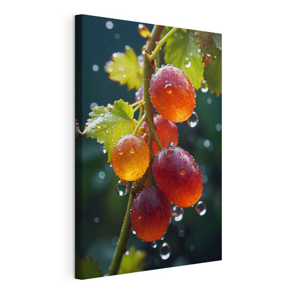 Canvas Schilderijen Trosje druiven met waterdruppels erop (Artikelnummer: s43872) Canvas Schilderijen Canvas Schilderijen Trosje druiven met waterdruppels erop (Artikelnummer: s43872)