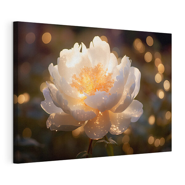 Canvas Schilderijen Witte bloem met geel hart (Artikelnummer: s43949) Canvas Schilderijen Canvas Schilderijen Witte bloem met geel hart (Artikelnummer: s43949)