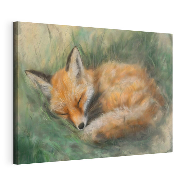 Vos slaapt in het gras Canvas Schilderijen Vos slaapt in het gras