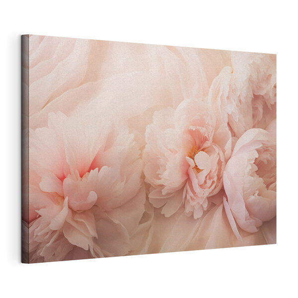 Canvas Schilderijen Groep roze bloemen (Artikelnummer: s45296) Canvas Schilderijen Canvas Schilderijen Groep roze bloemen (Artikelnummer: s45296)