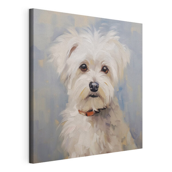 Canvas Schilderijen Canvas Schilderijen Schilderij van een witte hond (Artikelnummer: s47810)