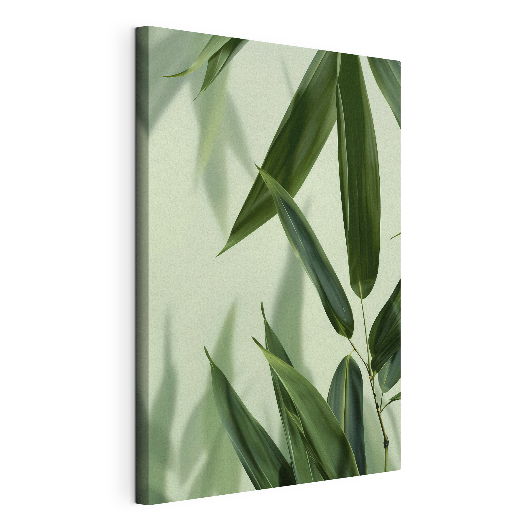 Delicate leaves on a soft backdrop
