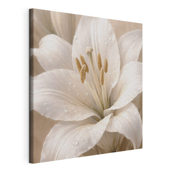Canvas Schilderijen Tere bloemblaadjes bedekt met ochtenddauw (Artikelnummer: s48028) Canvas Schilderijen Canvas Schilderijen Tere bloemblaadjes bedekt met ochtenddauw (Artikelnummer: s48028)