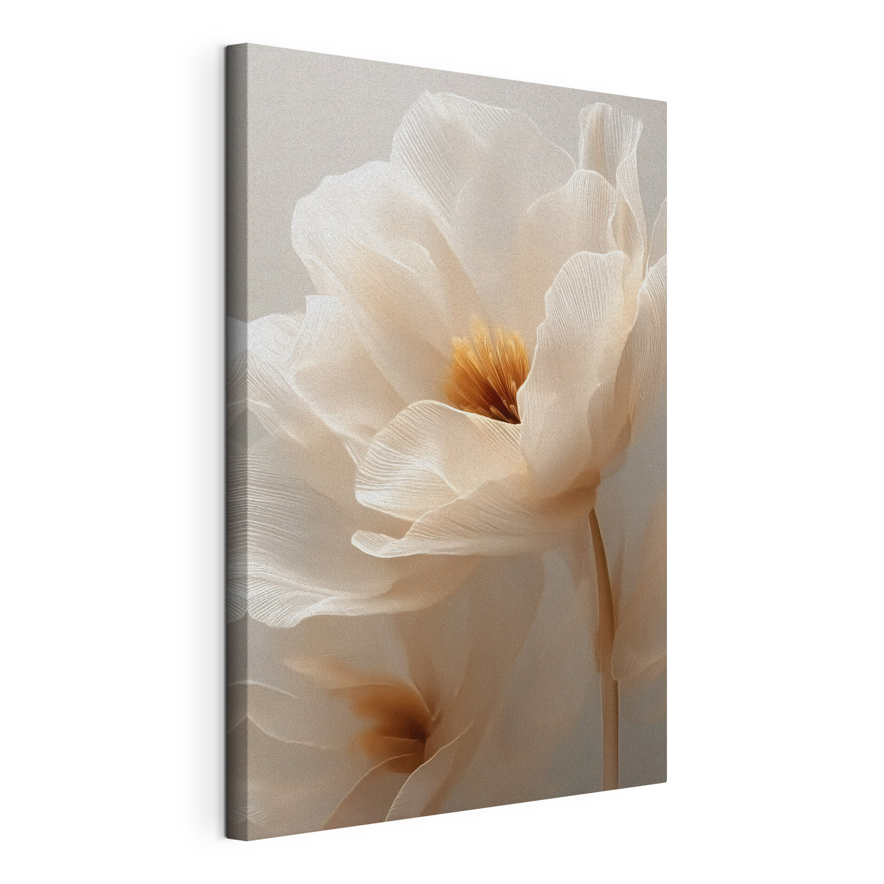 Delicate petals in soft hues