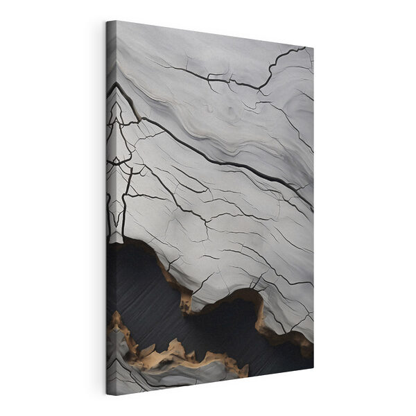 Canvas Schilderijen Wit en zwart gebarsten oppervlak (Artikelnummer: s48542) Canvas Schilderijen Canvas Schilderijen Wit en zwart gebarsten oppervlak (Artikelnummer: s48542)