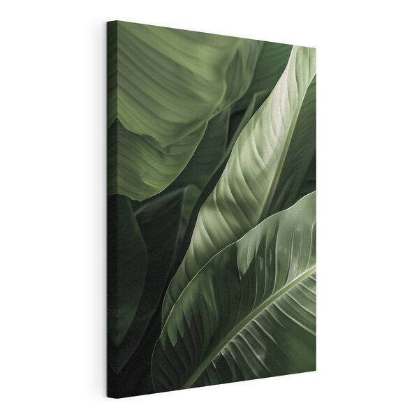 Canvas Schilderijen Weelderig groen gebladerte in zacht licht (Artikelnummer: s48577) Canvas Schilderijen Canvas Schilderijen Weelderig groen gebladerte in zacht licht (Artikelnummer: s48577)