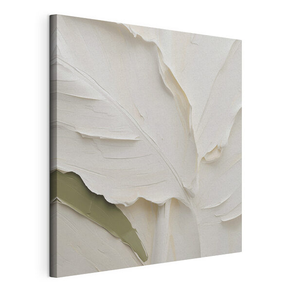 Canvas Schilderijen Canvas Schilderijen Witte bladeren met een groene streep (Artikelnummer: s48767)