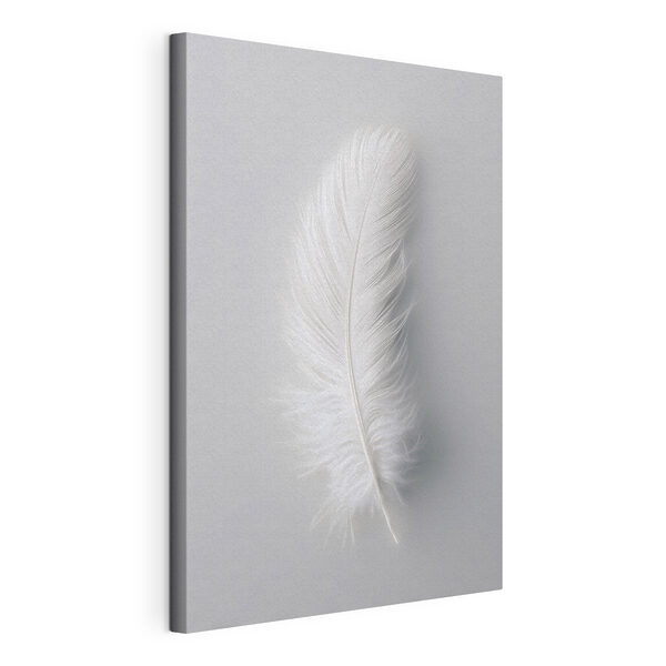 Canvas Schilderijen Witte veer op een witte achtergrond (Artikelnummer: s48782) Canvas Schilderijen Canvas Schilderijen Witte veer op een witte achtergrond (Artikelnummer: s48782)