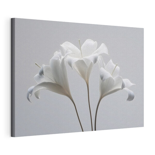 Canvas Schilderijen Canvas Schilderijen Groep witte bloemen (Artikelnummer: s48795)