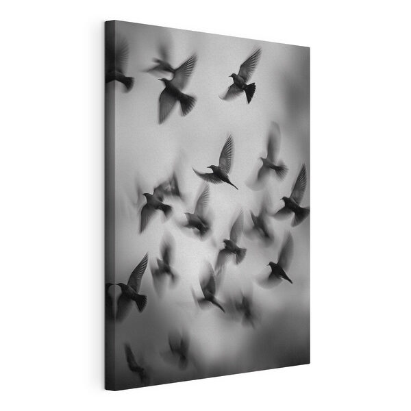 Canvas Schilderijen Een zwerm vogels die door de lucht vliegt (Artikelnummer: s49022) Canvas Schilderijen Canvas Schilderijen Een zwerm vogels die door de lucht vliegt (Artikelnummer: s49022)