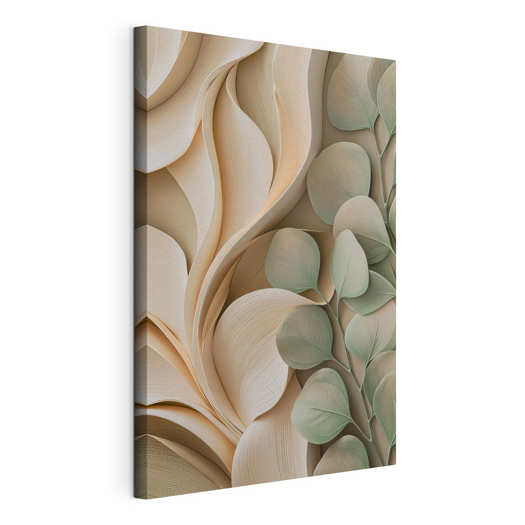 Gentle curves of nature's design