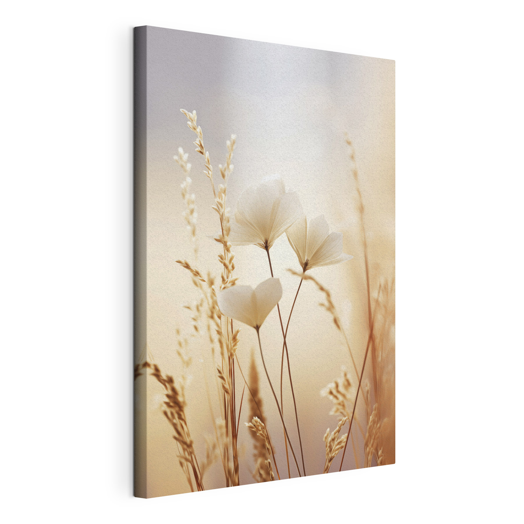 Delicate petals in soft light