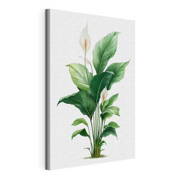 Canvas Schilderijen Plant met witte bloemen en groene bladeren (Artikelnummer: s49335) Canvas Schilderijen Canvas Schilderijen Plant met witte bloemen en groene bladeren (Artikelnummer: s49335)