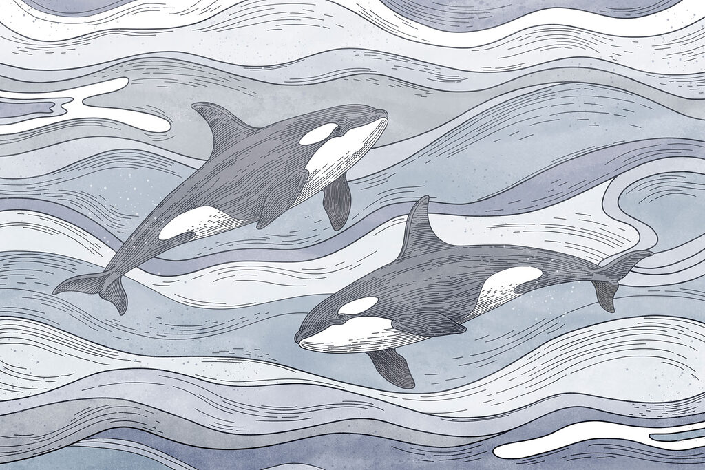 Group of whales swimming in the water