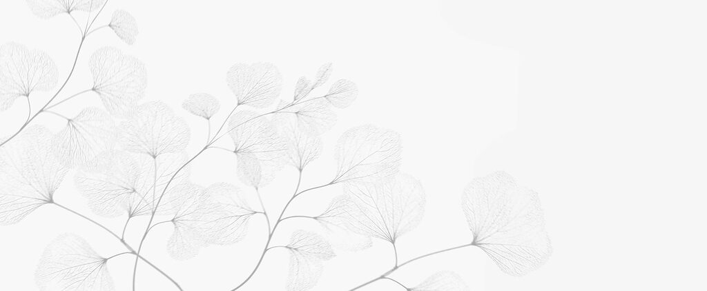 White leafy plant with thin branches White leafy plant with thin branches