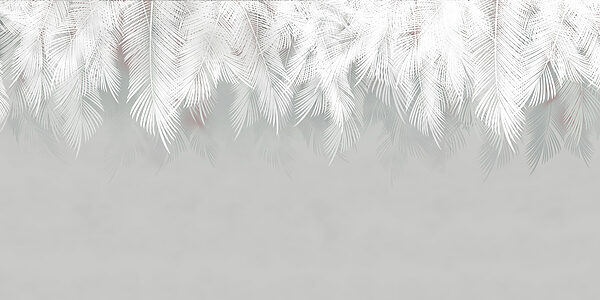 White feathered pattern on a gray background White feathered pattern on a gray background