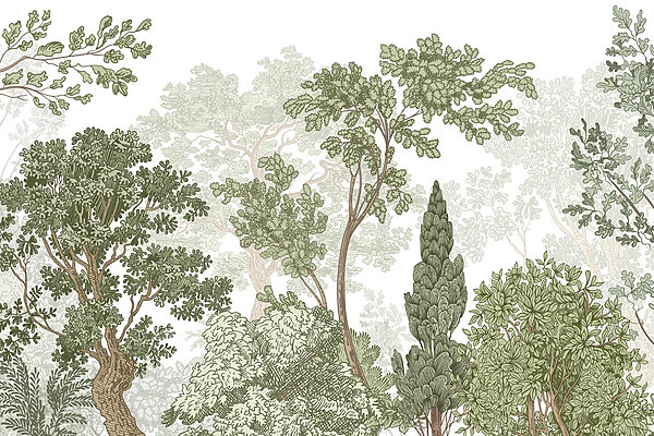 Group of trees with green leaves