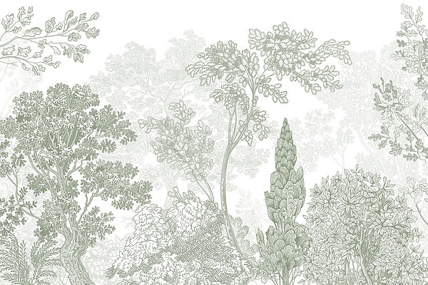 Group of trees and plants Group of trees and plants