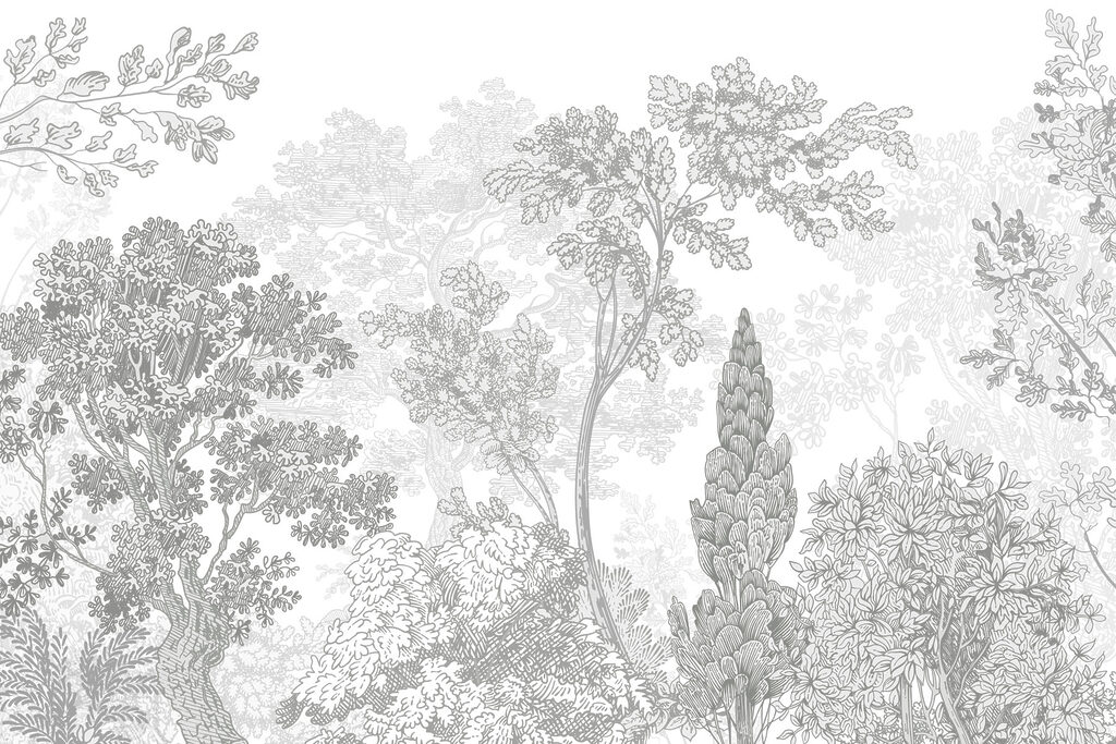 Group of trees with leaves Group of trees with leaves