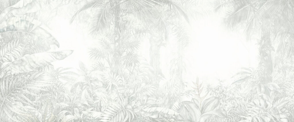 White background with plants