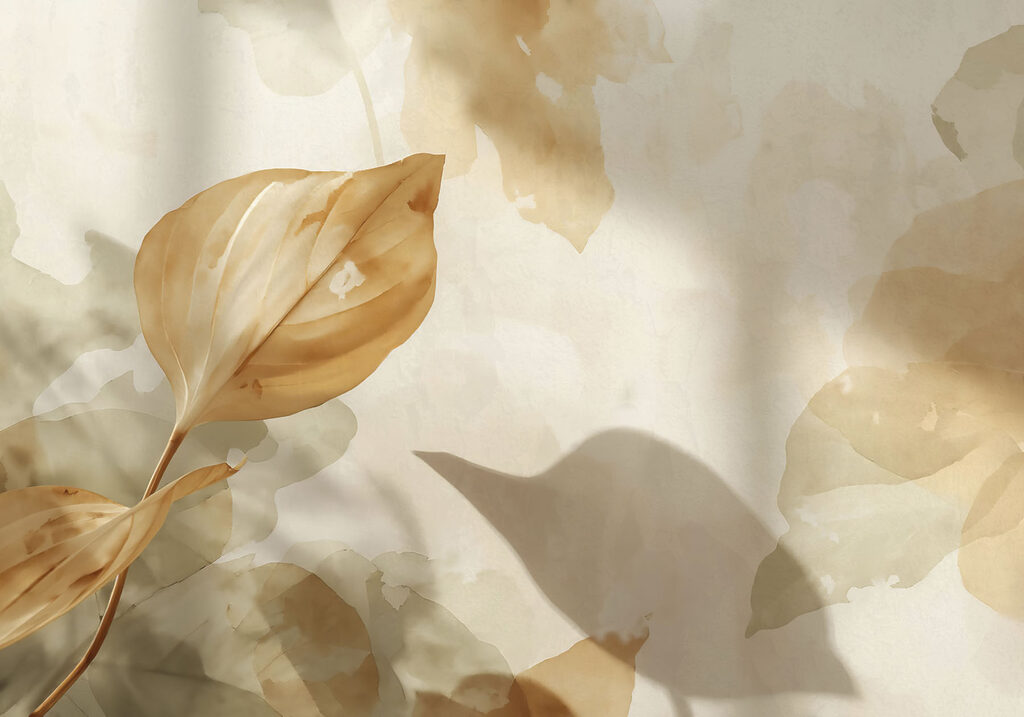 Leaf on a wall