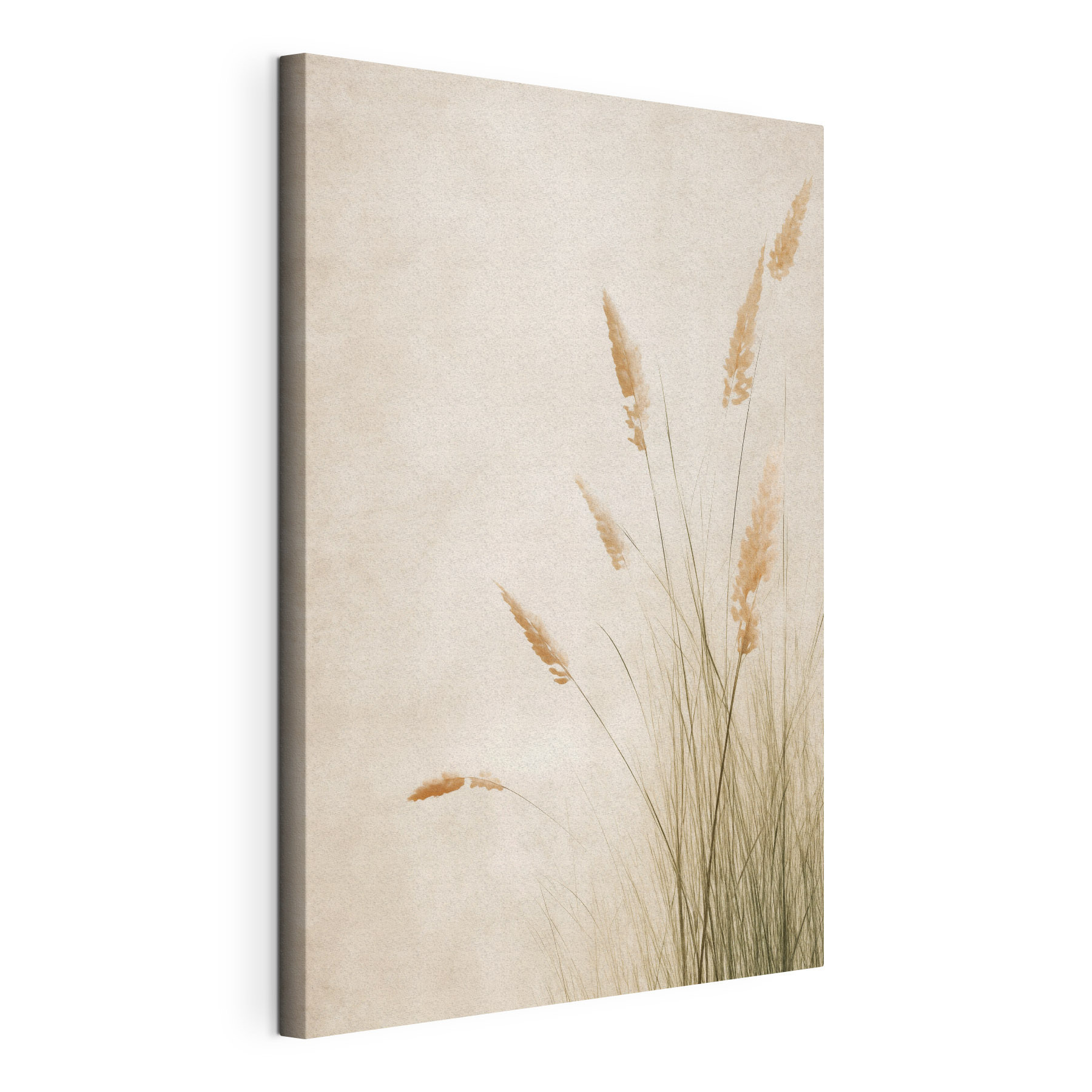 Delicate grass swaying in the breeze Delicate grass swaying in the breeze