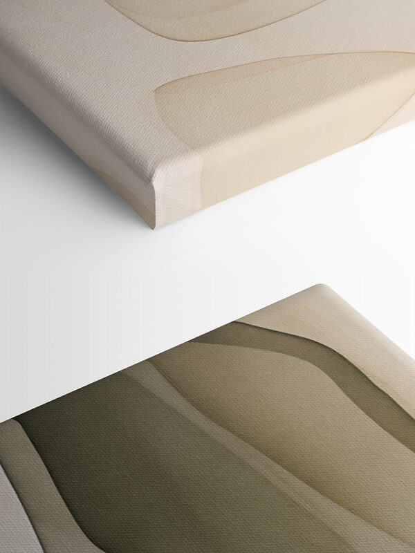 Soft curves in gentle hues Soft curves in gentle hues