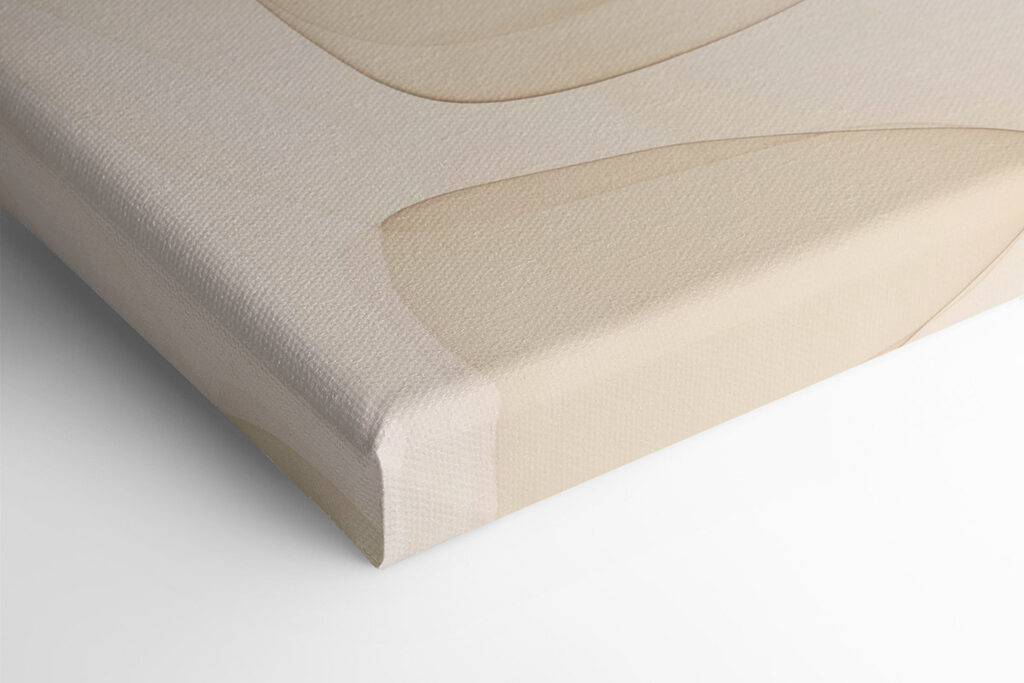 Soft curves in gentle hues Soft curves in gentle hues