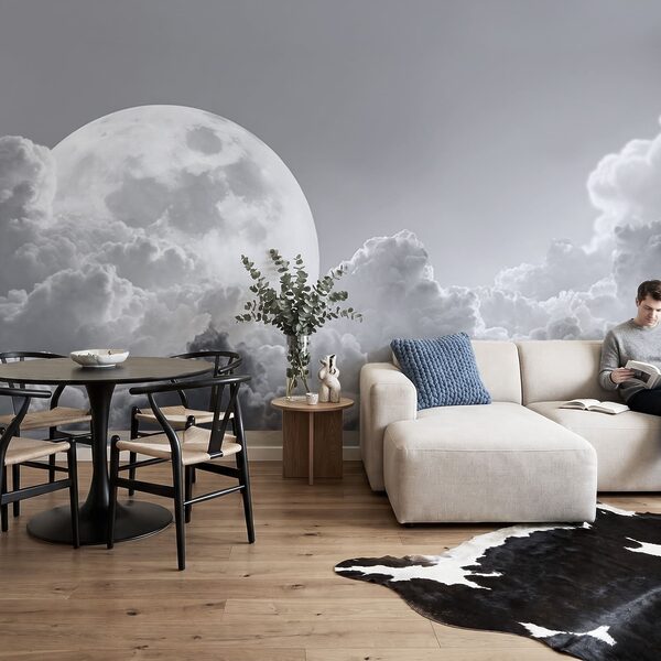 Volle maan aan de hemel Volle maan aan de hemel