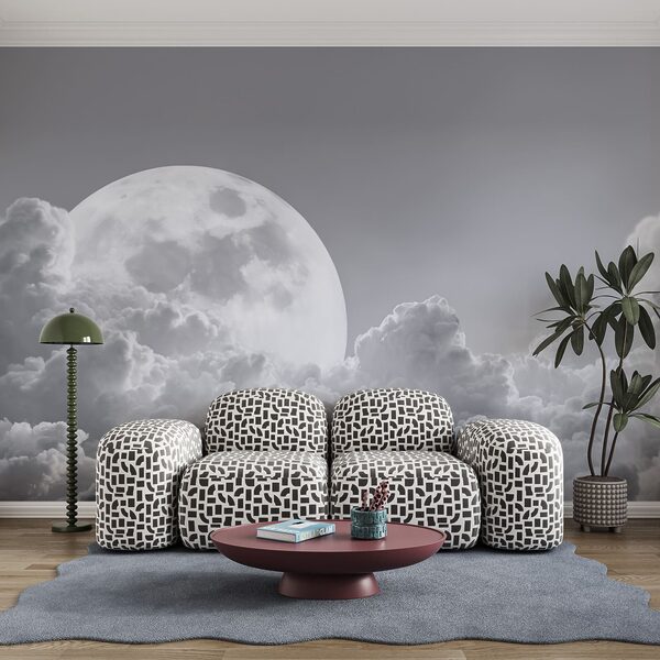 Volle maan aan de hemel Volle maan aan de hemel