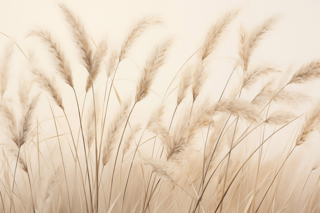 Gentle breeze through tall grasses Gentle breeze through tall grasses