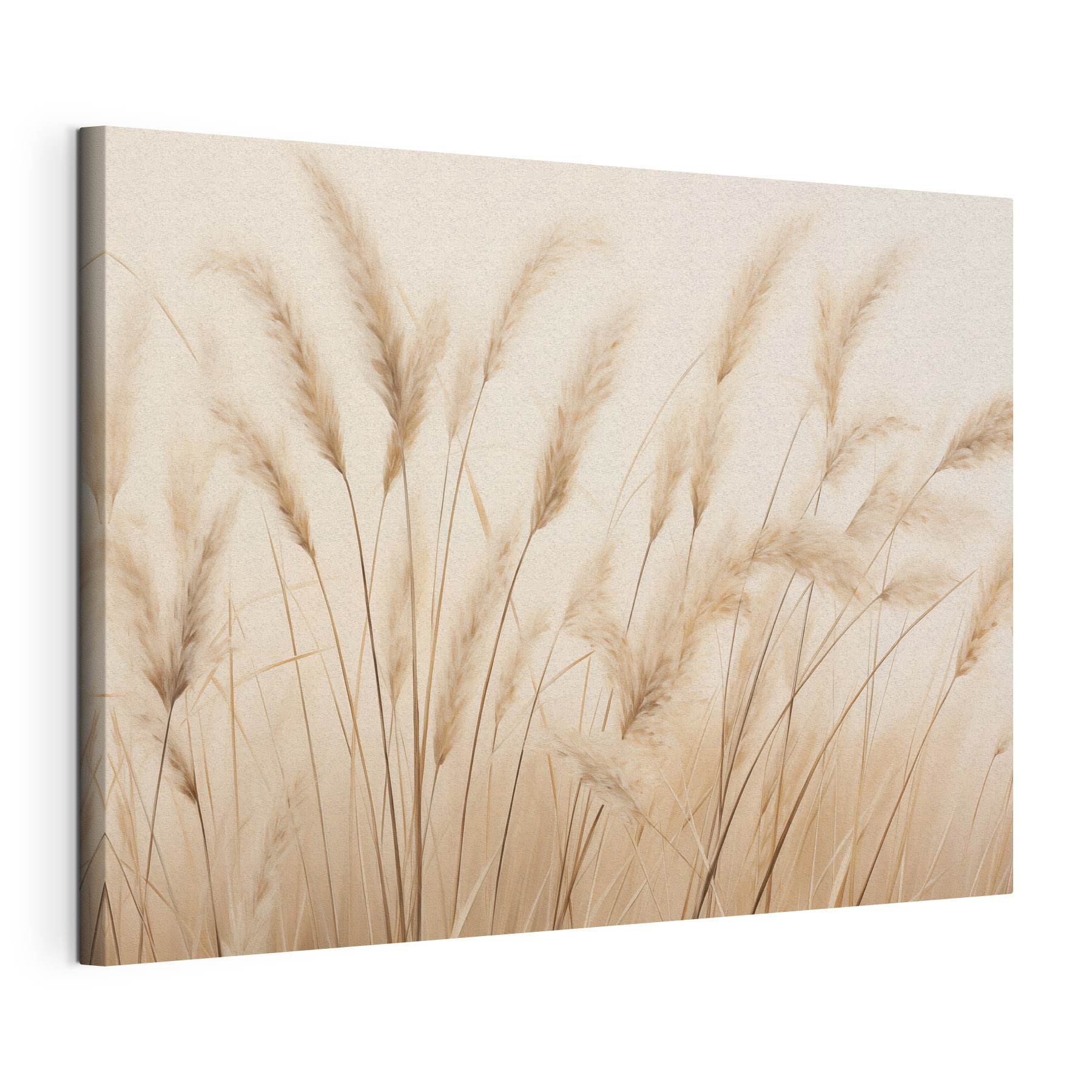 Gentle breeze through tall grasses Gentle breeze through tall grasses