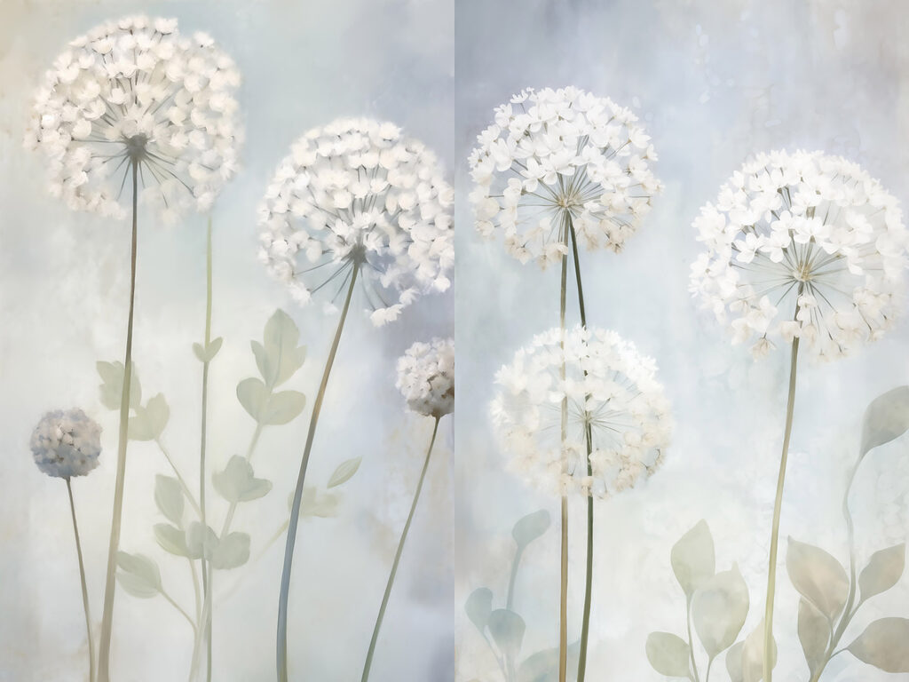 Collage of white flowers Collage of white flowers