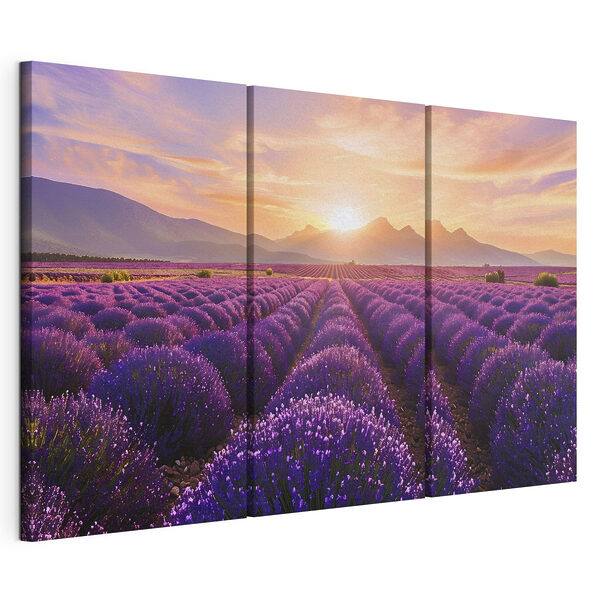 Modulaire canvasprint Lavendelveld met bergen op de achtergrond