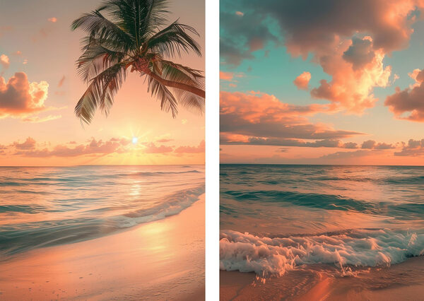 Palm tree on a beach