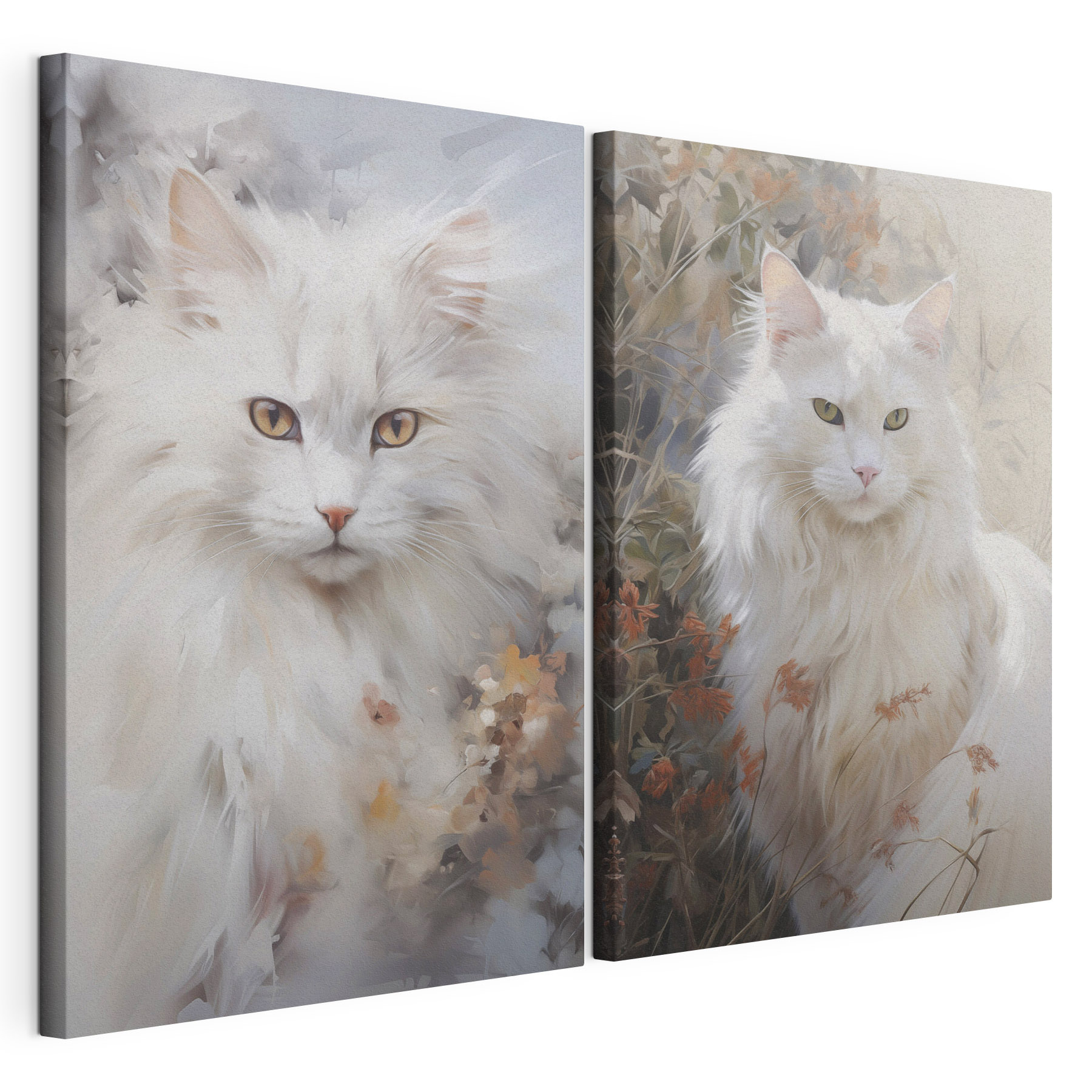 White cat with yellow eyes White cat with yellow eyes