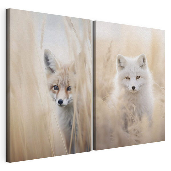 Modulaire canvasprint Collage van twee vossen