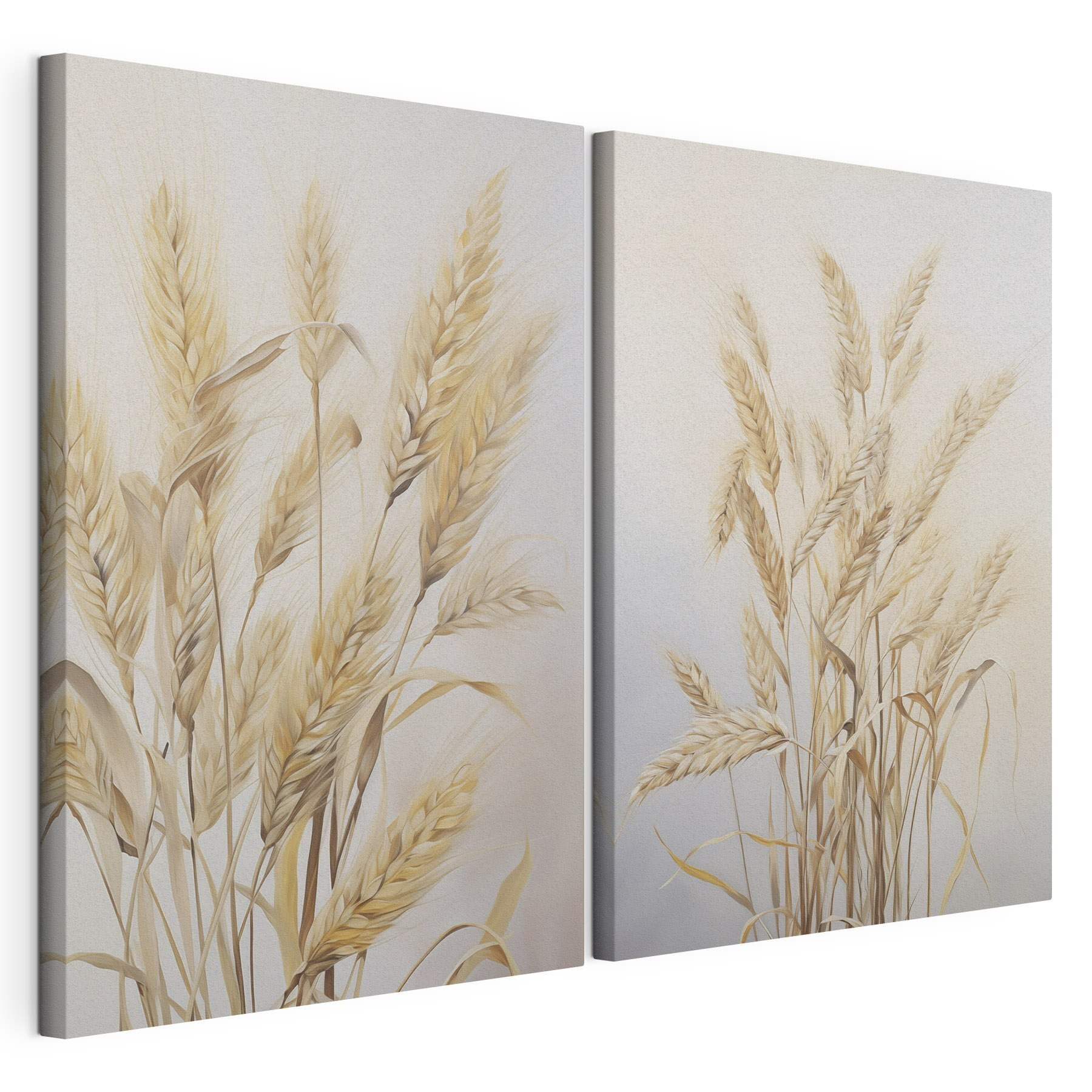 Painting of wheat on a white background Painting of wheat on a white background