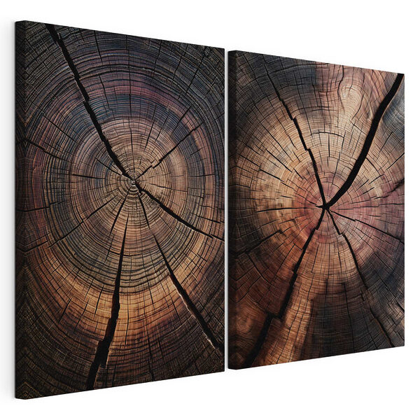Modulaire canvasprint Natuurlijke patronen in verouderd hout