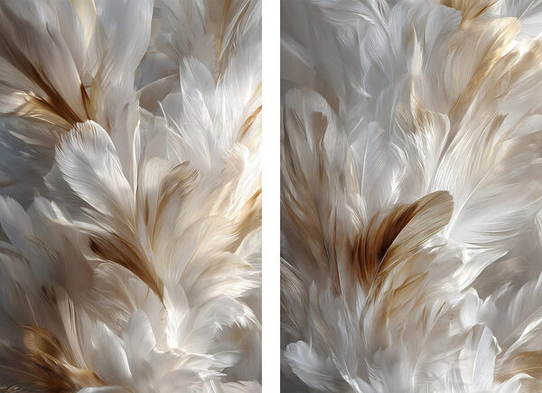 Delicate feathers in soft hues Delicate feathers in soft hues