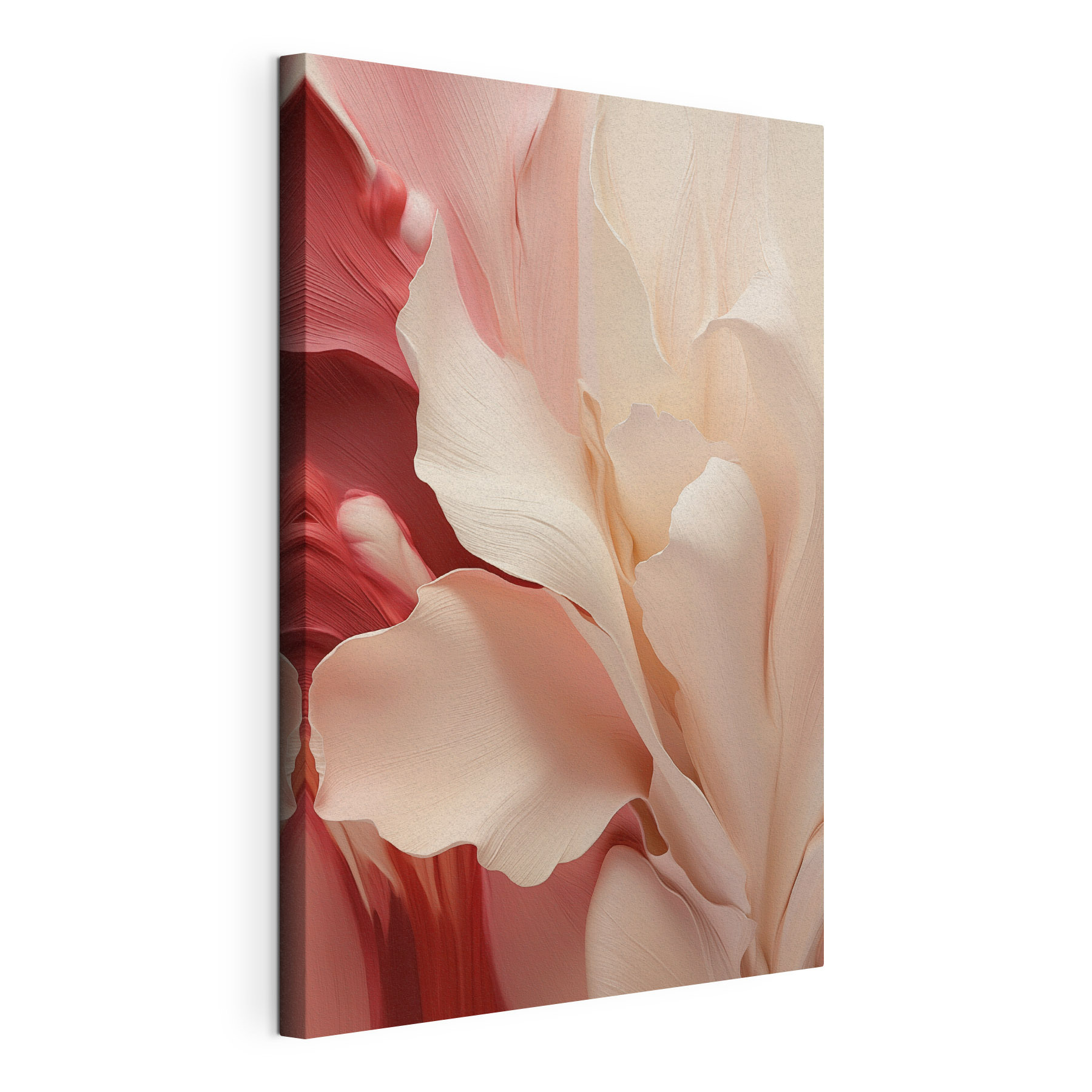 Gentle petals in soft hues Gentle petals in soft hues