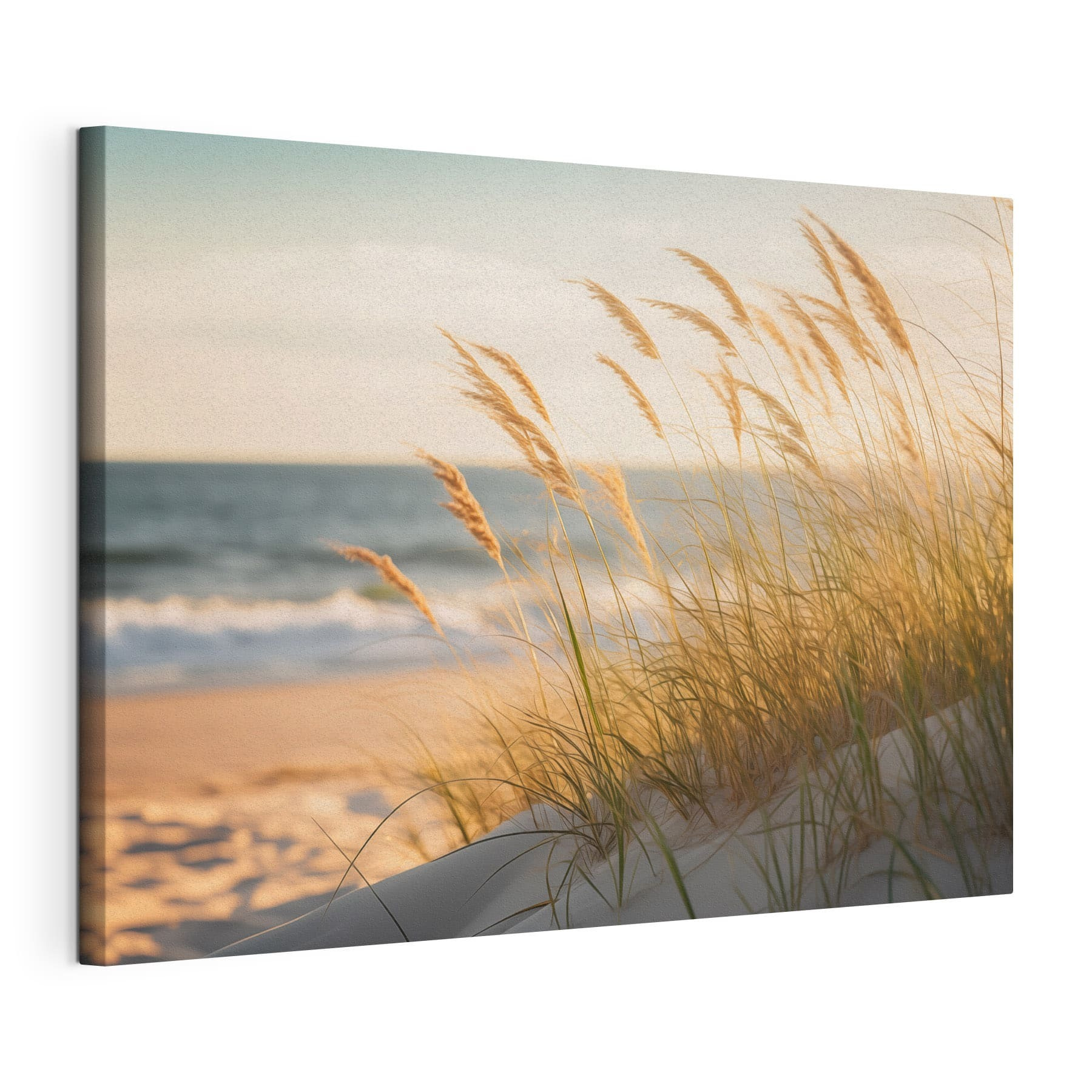 Calm waves meet swaying grass