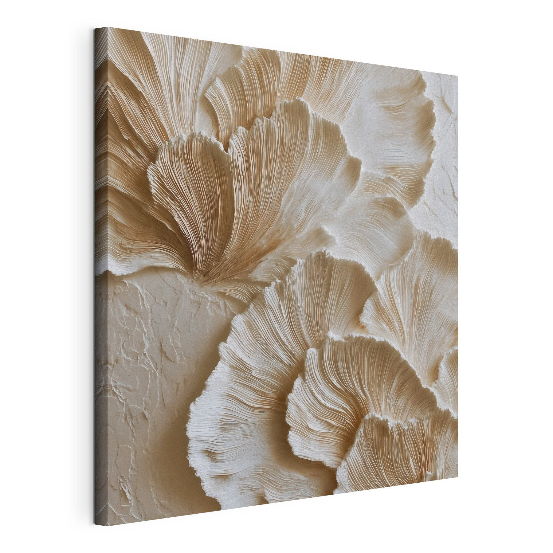 Elegant patterns of flowing shapes